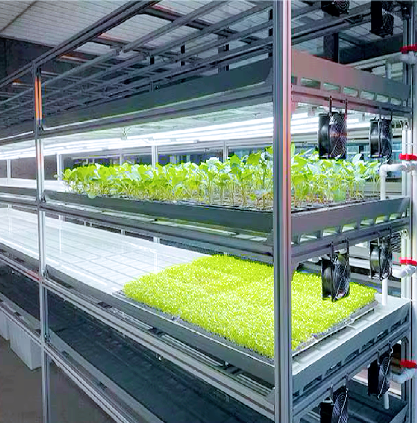 Vertical farming shelves with LED lighting inside Biogrow Station